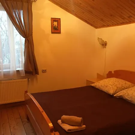 Pensionat Zelemin